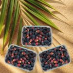پک 3 عددی رطب کم یاب خنیزی 900 گرمی (ارسال فقط شیراز)
