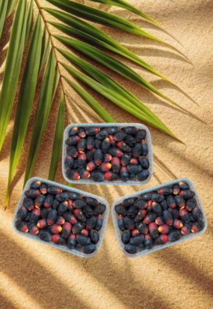 پک 3 عددی رطب کم یاب خنیزی 900 گرمی (ارسال فقط شیراز)